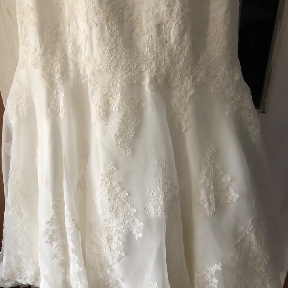 Wedding Dress - Picture 6 of 8